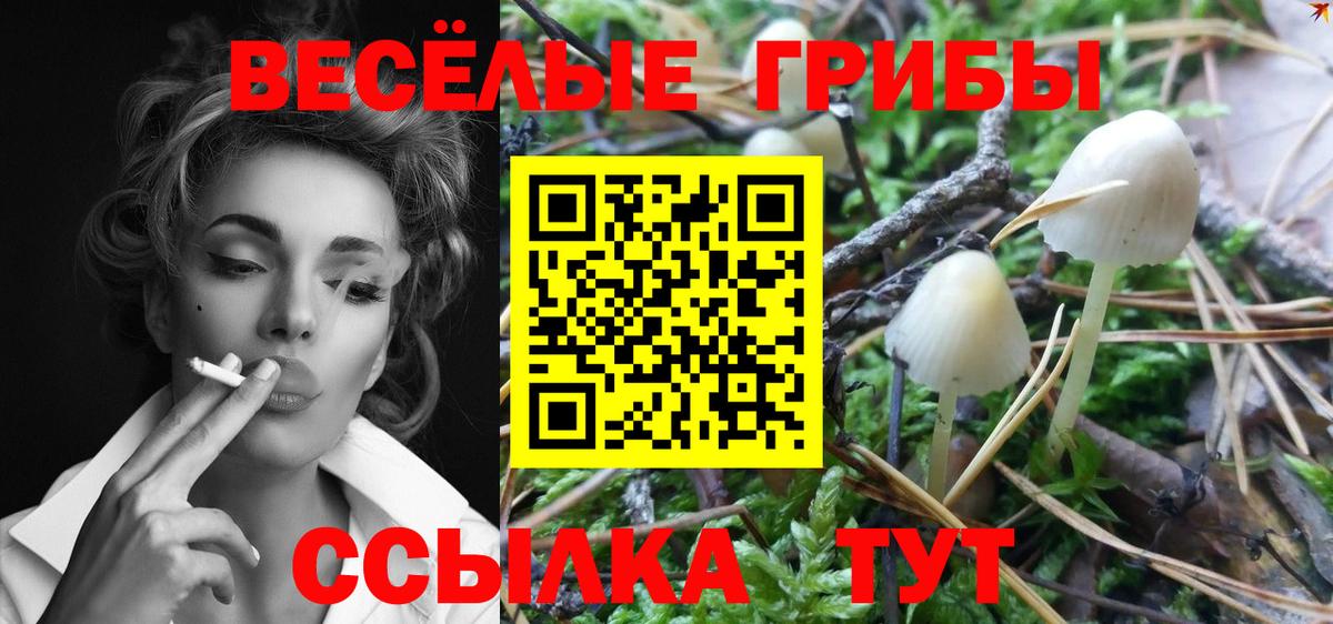Псилоцибиновые грибы Psilocybe  Вход с VPN  наркотики  Усинск 
